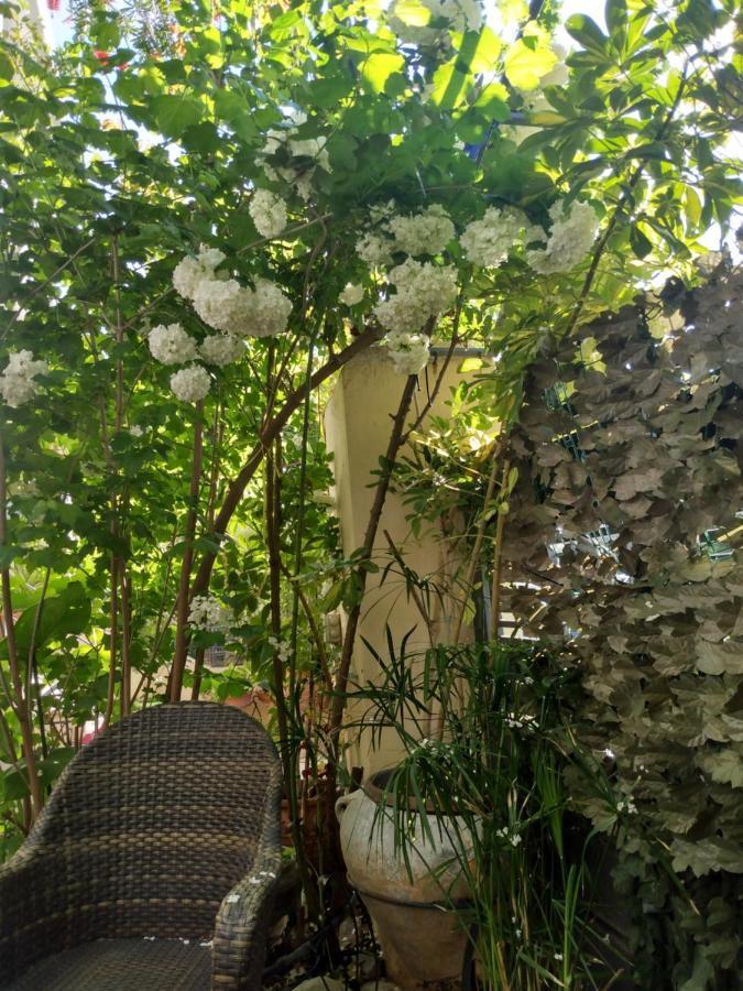 My Sunny Low Home Patras Buitenkant foto